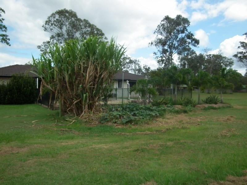 29 Lamerton Drive, Tinana QLD 4650