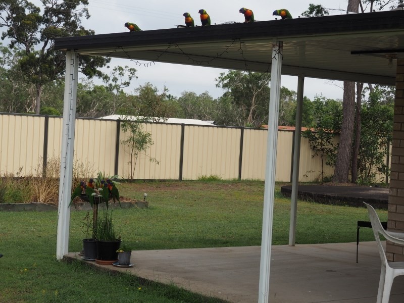 41 Woocoo Drive, Oakhurst QLD 4650