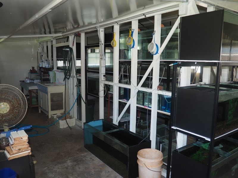 27 Crown Street, Maryborough QLD 4650