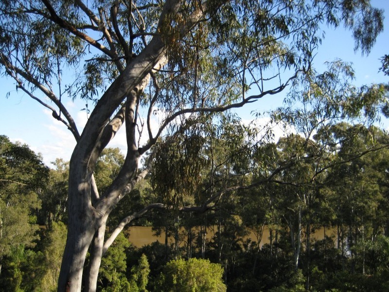 Maryborough QLD 4650