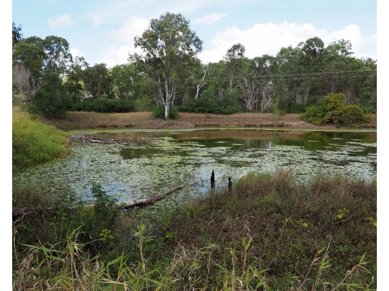 26 Walker Avenue, Tinana QLD 4650