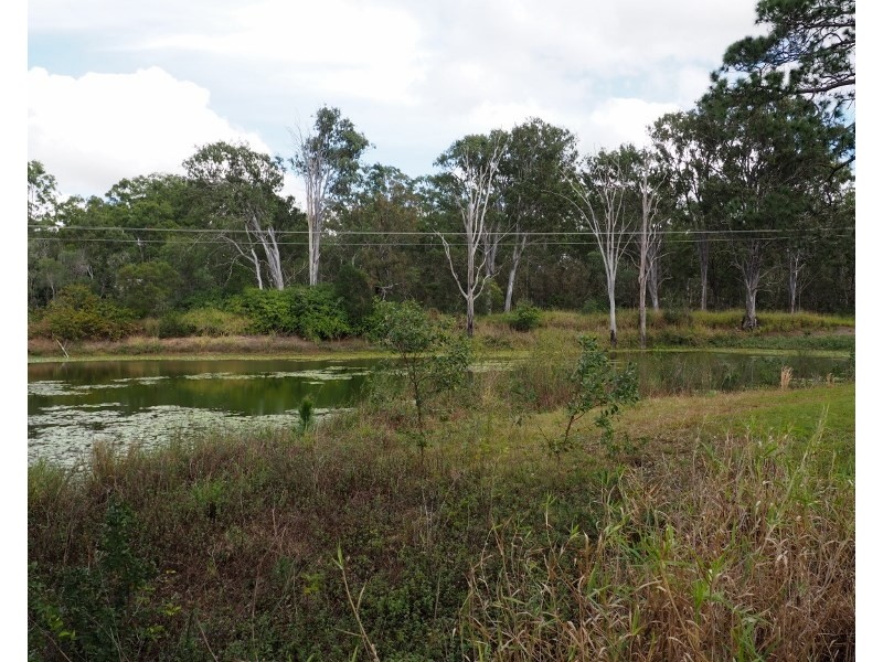 26 Walker Avenue, Tinana QLD 4650