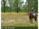 Lot 19 Wallum Froglet Court, Dunmora QLD 4650