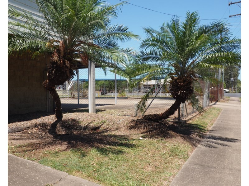 93 Gympie Road, Tinana QLD 4650