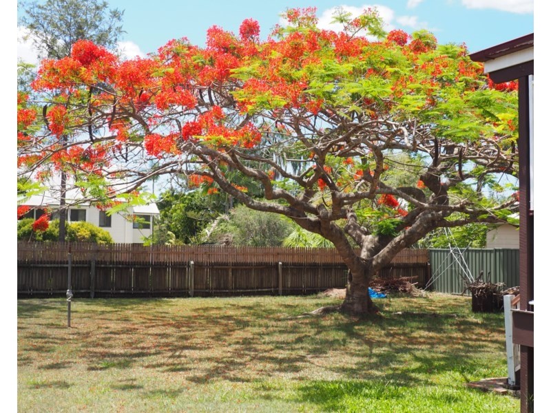 56 Richmond Street, Maryborough QLD 4650