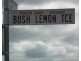 Lot 31 Bush Lemon Terrace, Yengarie QLD 4650