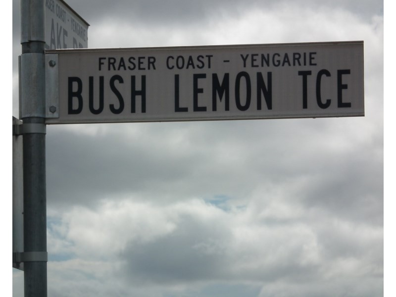 Lot 31 Bush Lemon Terrace, Yengarie QLD 4650