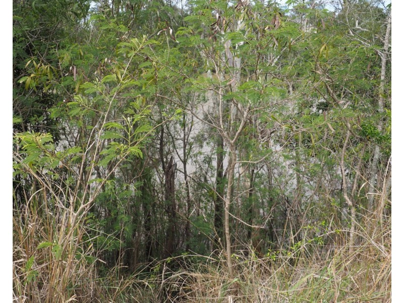 77D Kent Street, Maryborough QLD 4650