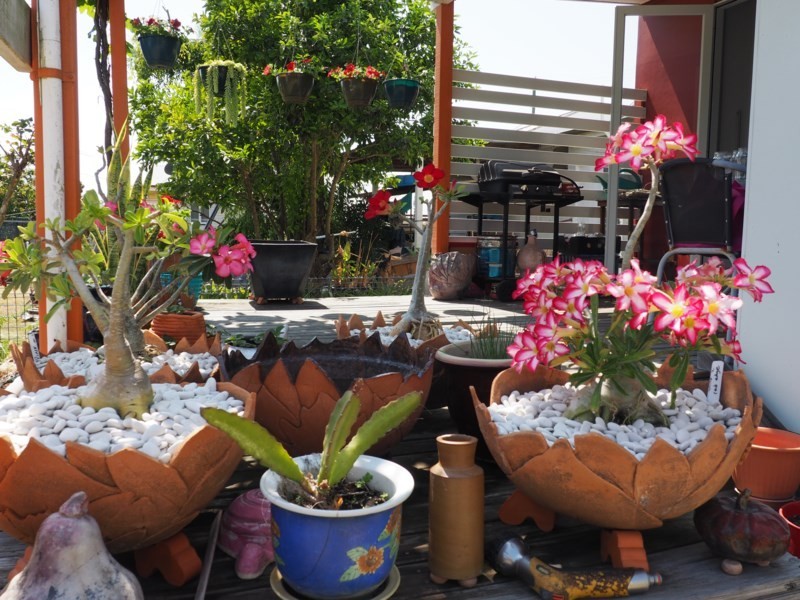 84 March Street, Maryborough QLD 4650