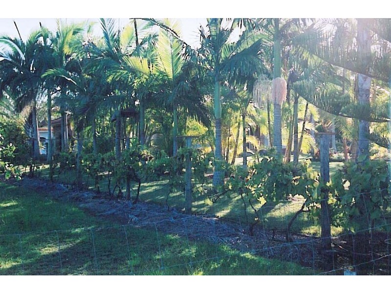 Howard QLD 4659