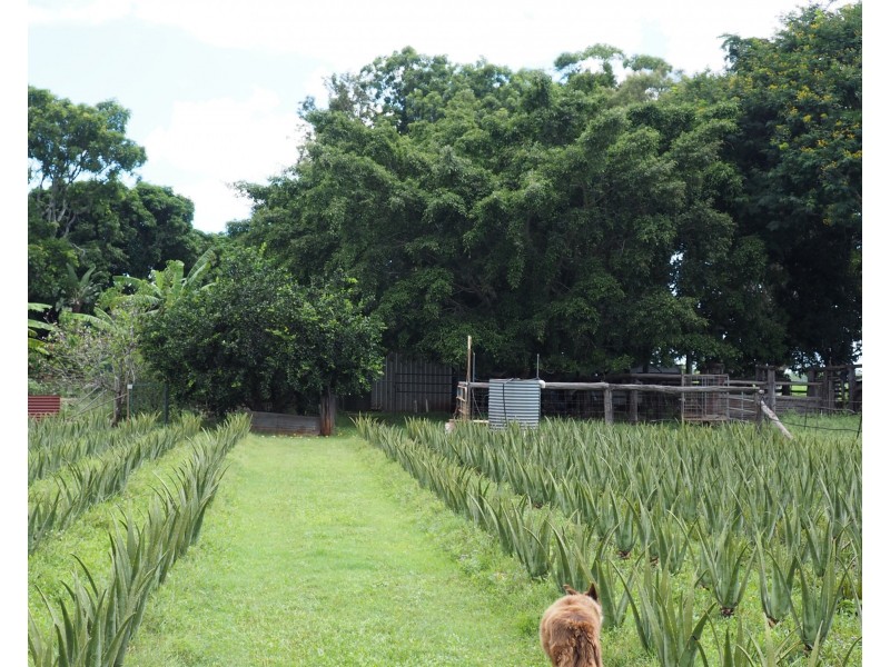 160 Perry Road, Magnolia QLD 4650