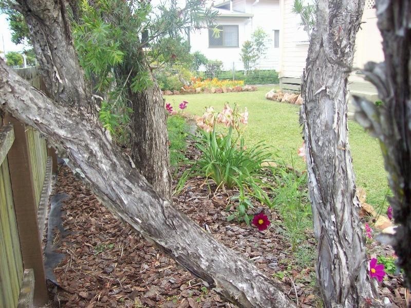 Maryborough QLD 4650