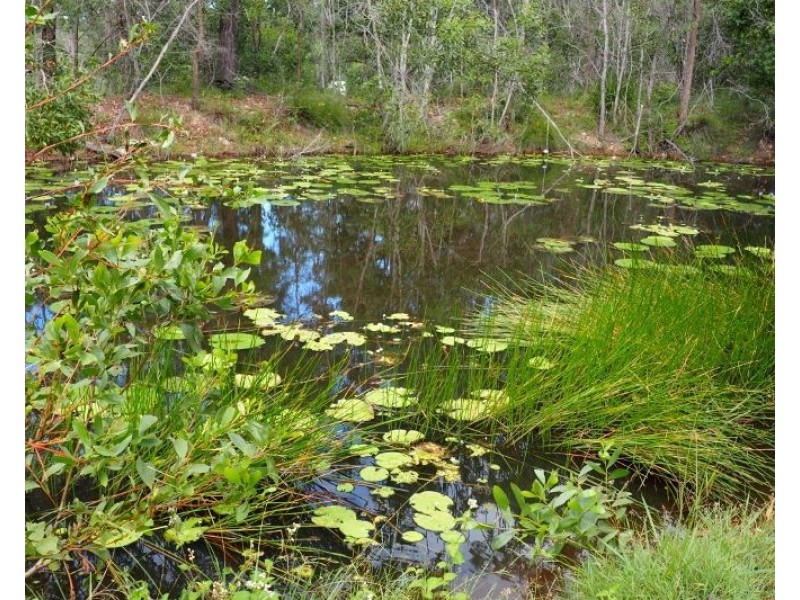 35-41 Berallan Drive, Tinana QLD 4650