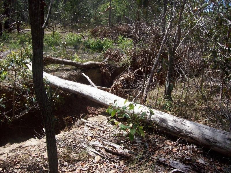Dunmora QLD 4650