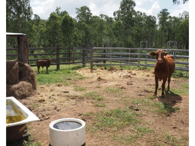 4275 Maryborough Biggenden Road, Aramara QLD 4620