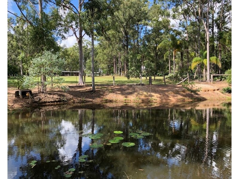 81 Springvale Road, Tinana QLD 4650