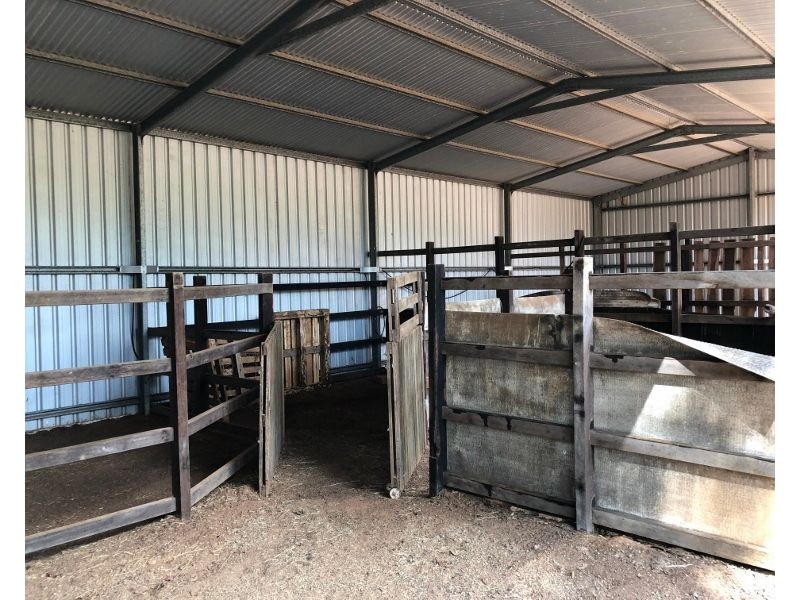 81 Springvale Road, Tinana QLD 4650