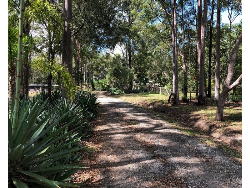 81 Springvale Road, Tinana QLD 4650