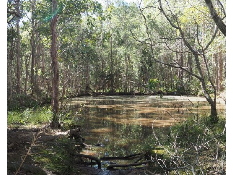 Lot 2 (0) Springvale Road, Tinana QLD 4650