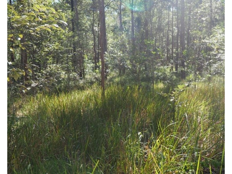 Lot 2 (0) Springvale Road, Tinana QLD 4650