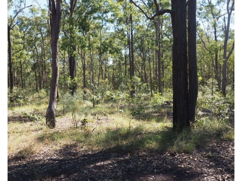 Lot 2 (0) Springvale Road, Tinana QLD 4650