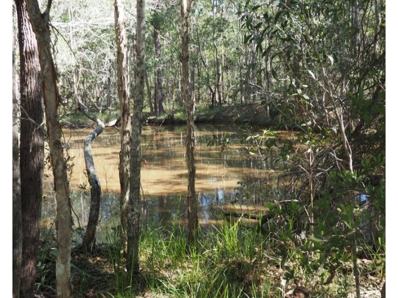 Lot 2 (0) Springvale Road, Tinana QLD 4650