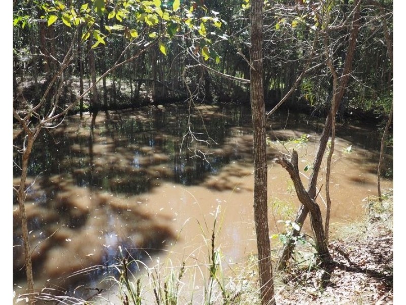 Lot 2 (0) Springvale Road, Tinana QLD 4650