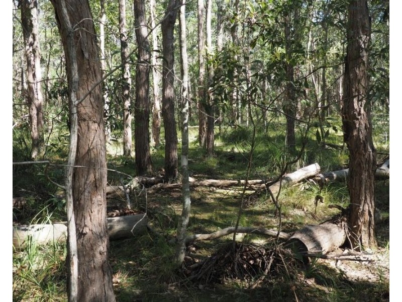 Lot 2 (0) Springvale Road, Tinana QLD 4650