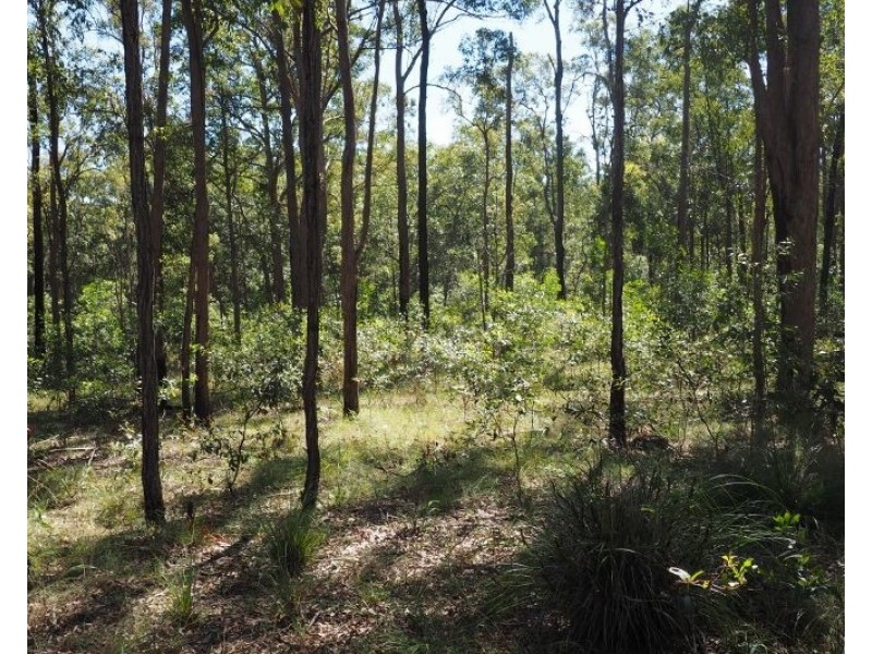 Lot 2 (0) Springvale Road, Tinana QLD 4650
