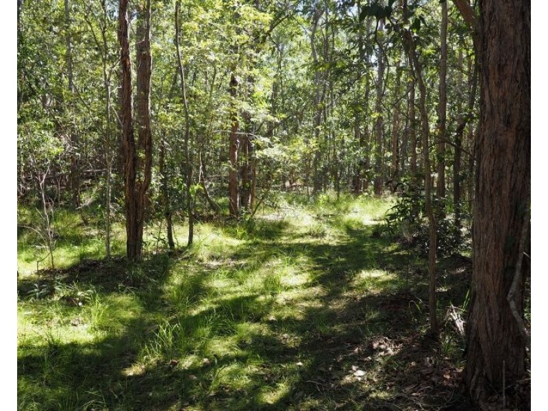 Lot 2 (0) Springvale Road, Tinana QLD 4650