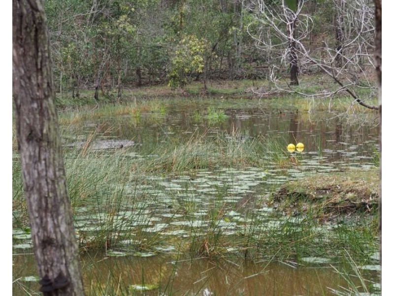 157 Teddington Road, Tinana QLD 4650