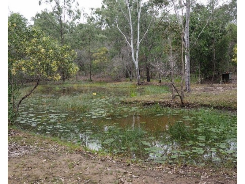 157 Teddington Road, Tinana QLD 4650