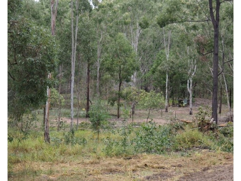 157 Teddington Road, Tinana QLD 4650