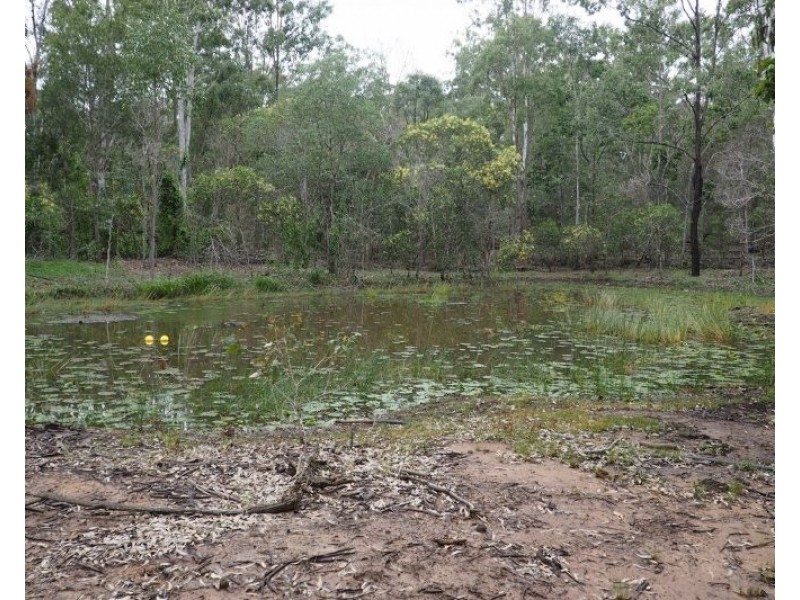 157 Teddington Road, Tinana QLD 4650