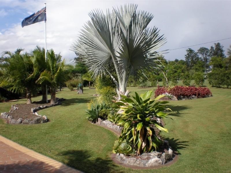 Tinana QLD 4650