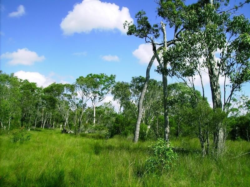 269 Pacific Haven Circuit, Pacific Haven QLD 4659