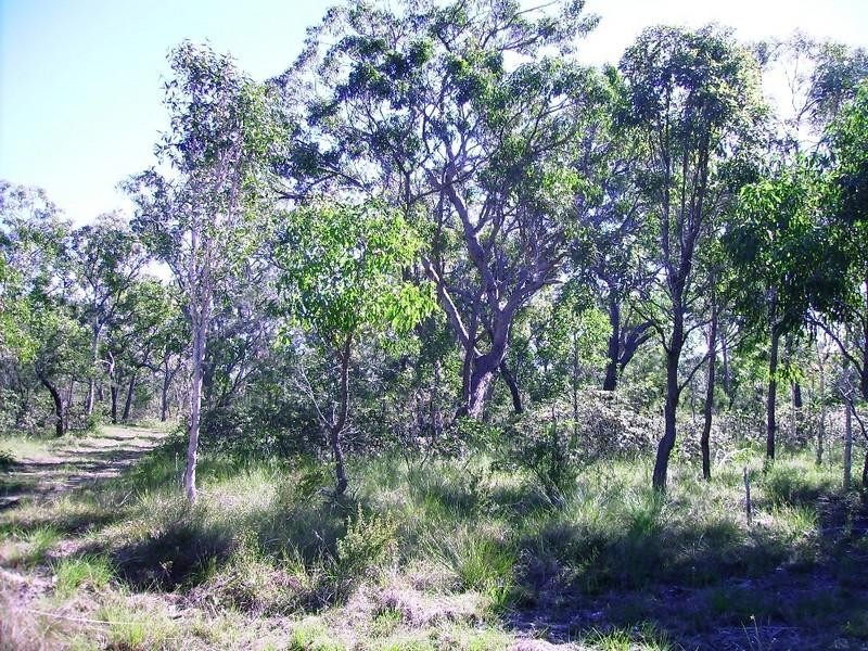 269 Pacific Haven Circuit, Pacific Haven QLD 4659