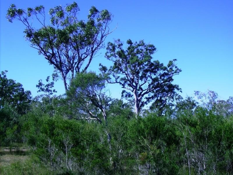 269 Pacific Haven Circuit, Pacific Haven QLD 4659