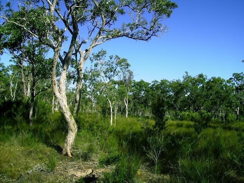 269 Pacific Haven Circuit, Pacific Haven QLD 4659