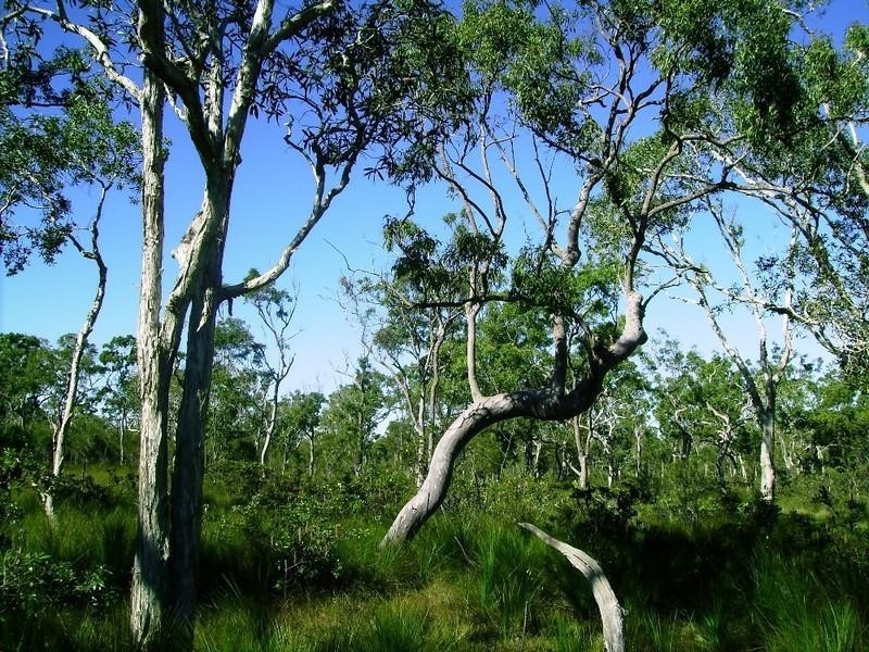 269 Pacific Haven Circuit, Pacific Haven QLD 4659