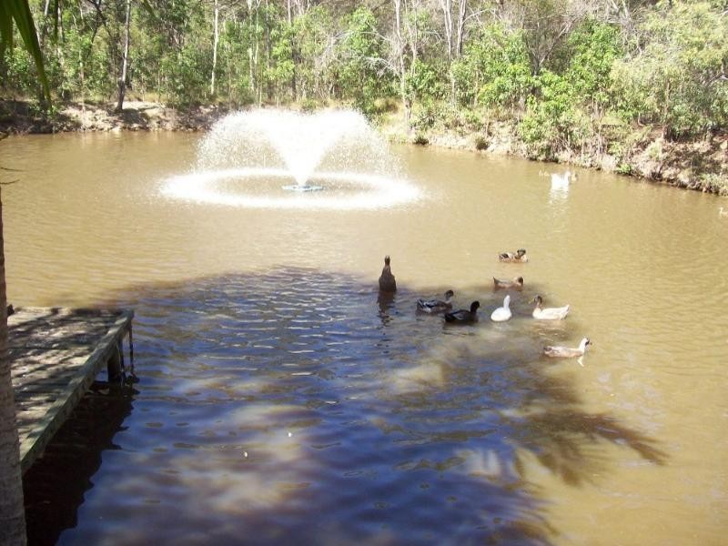 160 Philip Drive, Tinana QLD 4650