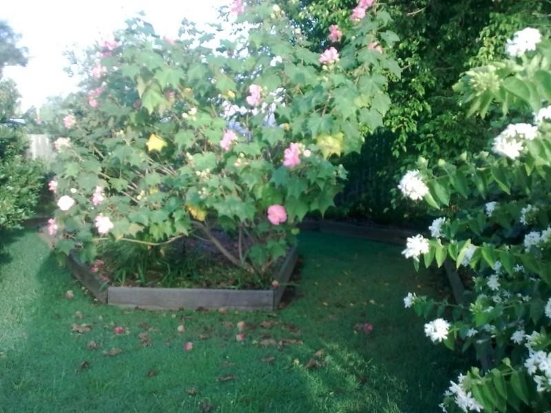 51 Edward Street, Maryborough QLD 4650