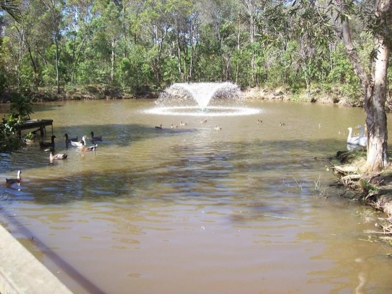 160 Philip Drive, Tinana QLD 4650