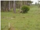 Lot 2 Bruce Highway, Aldershot QLD 4650