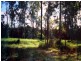 Lot 304 Stottenville Road, Bauple QLD 4650