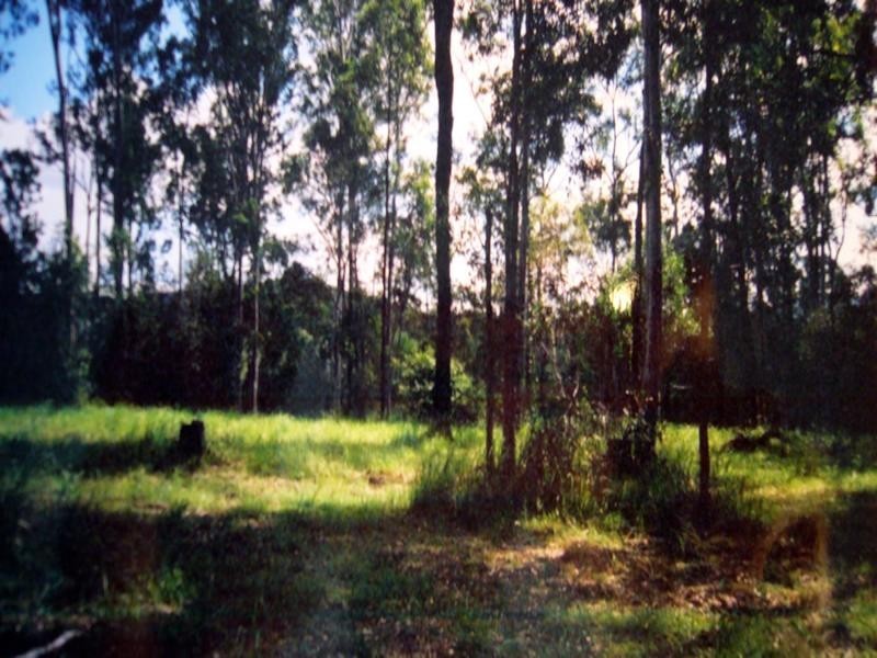 Lot 304 Stottenville Road, Bauple QLD 4650