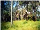 Lot 304 Stottenville Road, Bauple QLD 4650