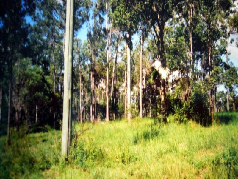 Lot 304 Stottenville Road, Bauple QLD 4650