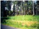 Lot 304 Stottenville Road, Bauple QLD 4650
