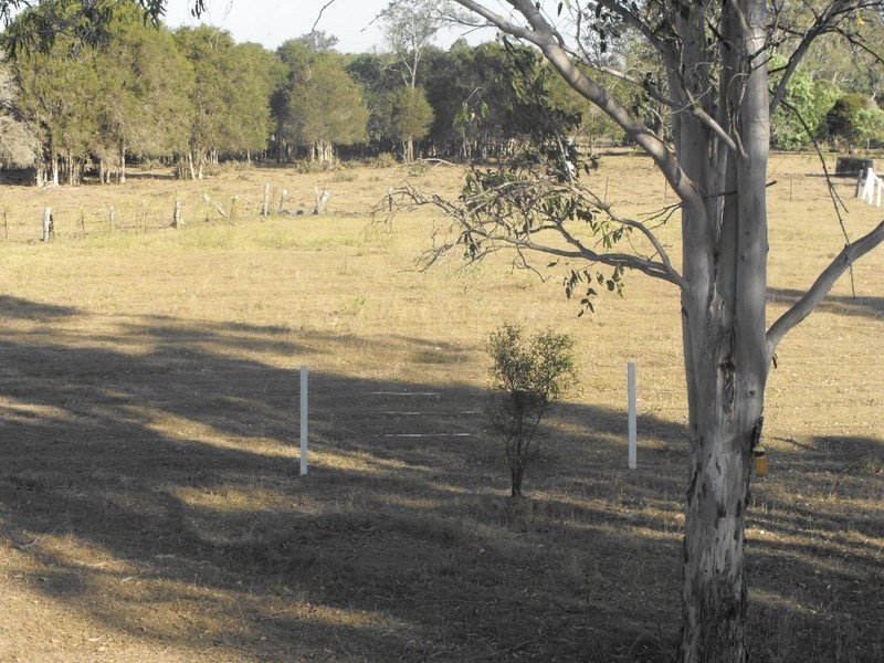 Gundiah QLD 4650